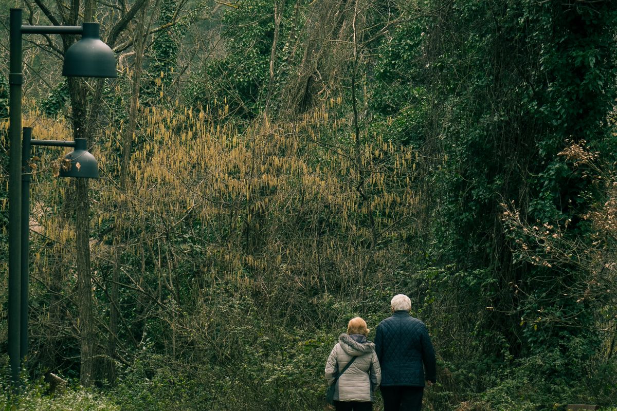 An older couple walking together along a leafy park path.